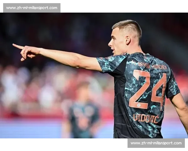 官方：拜仁前锋维多维奇 120 万欧加盟萨格勒布迪纳摩，身披 10 号剑指双冠